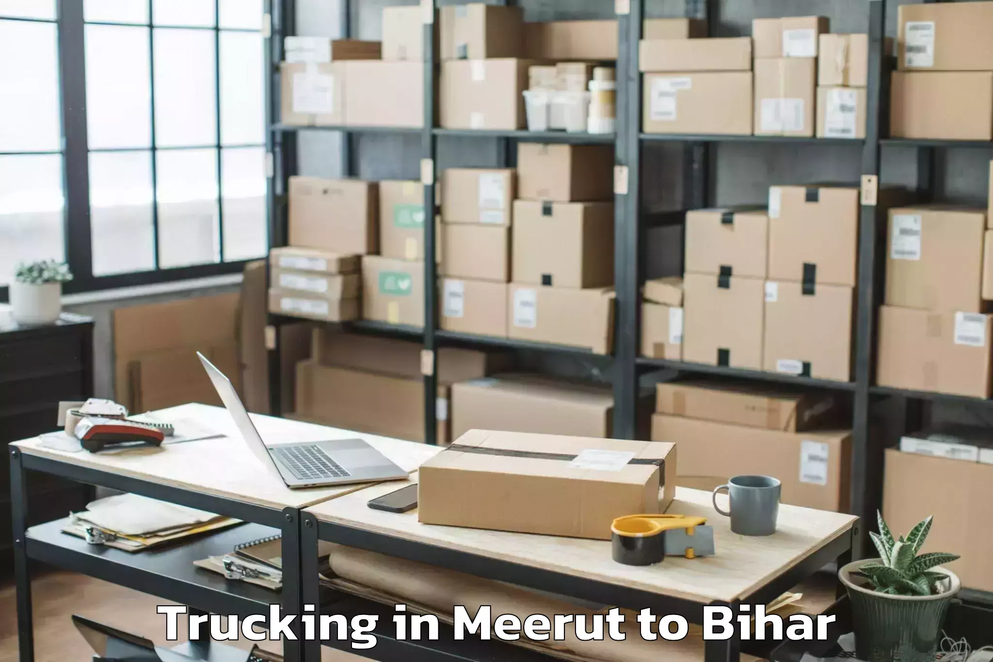 Get Meerut to Harsidhi Trucking